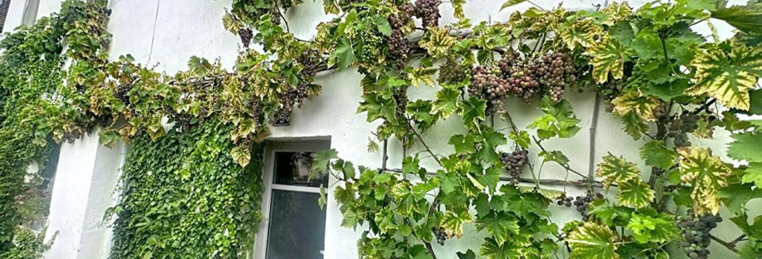 Maison 5 Pièces 120 m² à vendre à Pont-l'Évêque (14130)