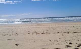 Photo N° 2