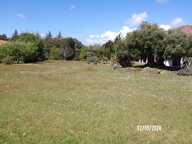 Terrain Proche  pour la PLAYA — photo 3