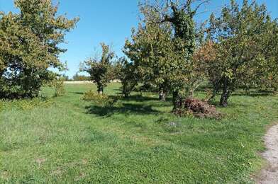Terrain  34000 €