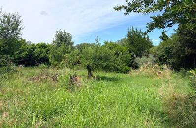 Terrain  agricole de 260 m2 Saint-Hilaire d'Ozilhan 12500 — photo du bien