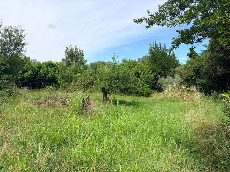 Terrain  agricole de 260 m2 Saint-Hilaire d'Ozilhan 12500 — photo 1