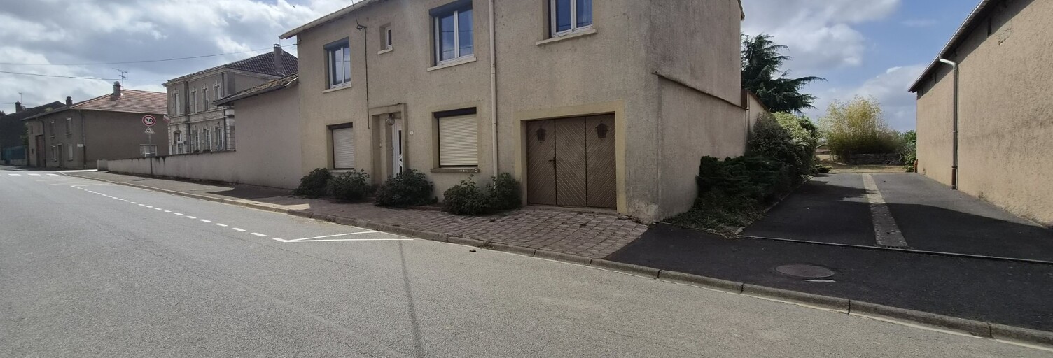 Maison 8 Pièces 250 m² à vendre à Delme (57590)