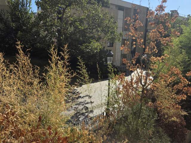 Studio de 32 m² avec balcon - Levallois-Perret, Île de la Jatte — photo du bien