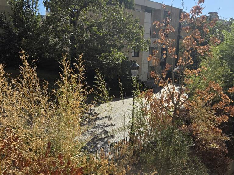 Studio de 32 m² avec balcon - Levallois-Perret, Île de la Jatte — photo 1