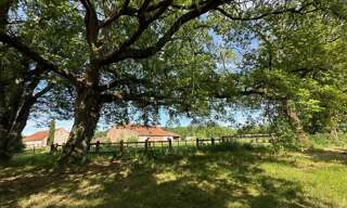 Maison 14 Pièces 240 m² à vendre à Villemurlin (45600)