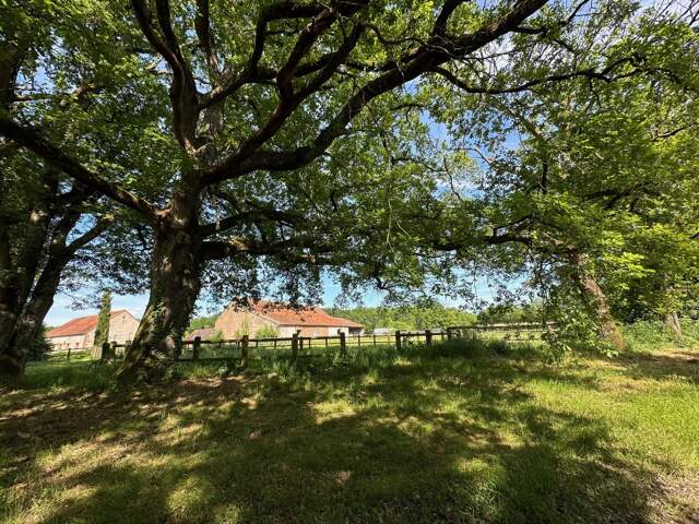 CAP SUR LA SOLOGNE... ET PAS N'IMPORTE LAQUELLE ! — photo du bien