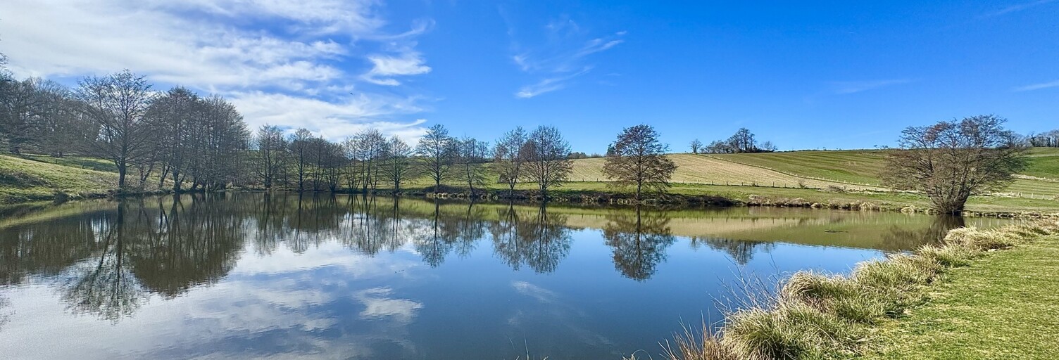 Terrain  19100 m² à vendre à Château-Chervix (87380)