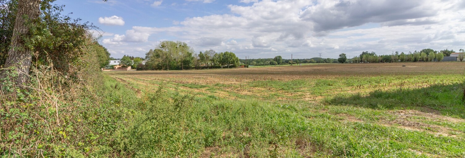 Terrain  1200 m² à vendre à Saint-Paul-Mont-Penit (85670)