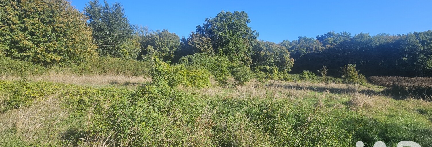 Terrain  5348 m² à vendre à La Forêt-de-Tessé (16240)