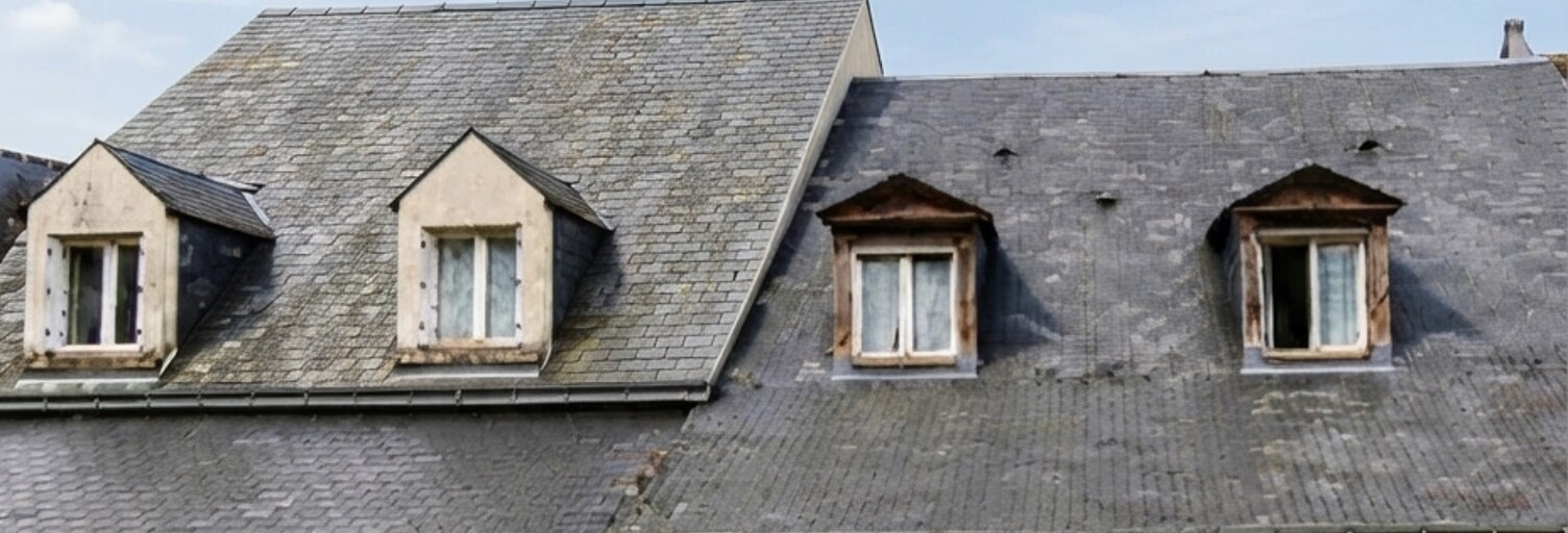 Maison 12 Pièces 258 m² à vendre à Candes-Saint-Martin (37500)