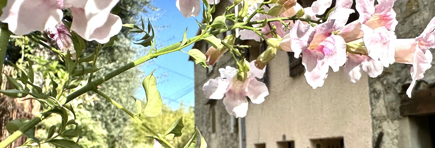 Maison 3 Pièces 42 m² à vendre à Grasse (06520)