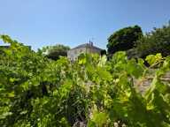 Maison traditionelle, ses dépendances et son terrain agricole !! A visiter sans tarder ! — photo 3