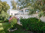 maison — photo 4