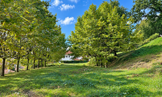 Terrain  492 m² à vendre à Urrugne (64700)
