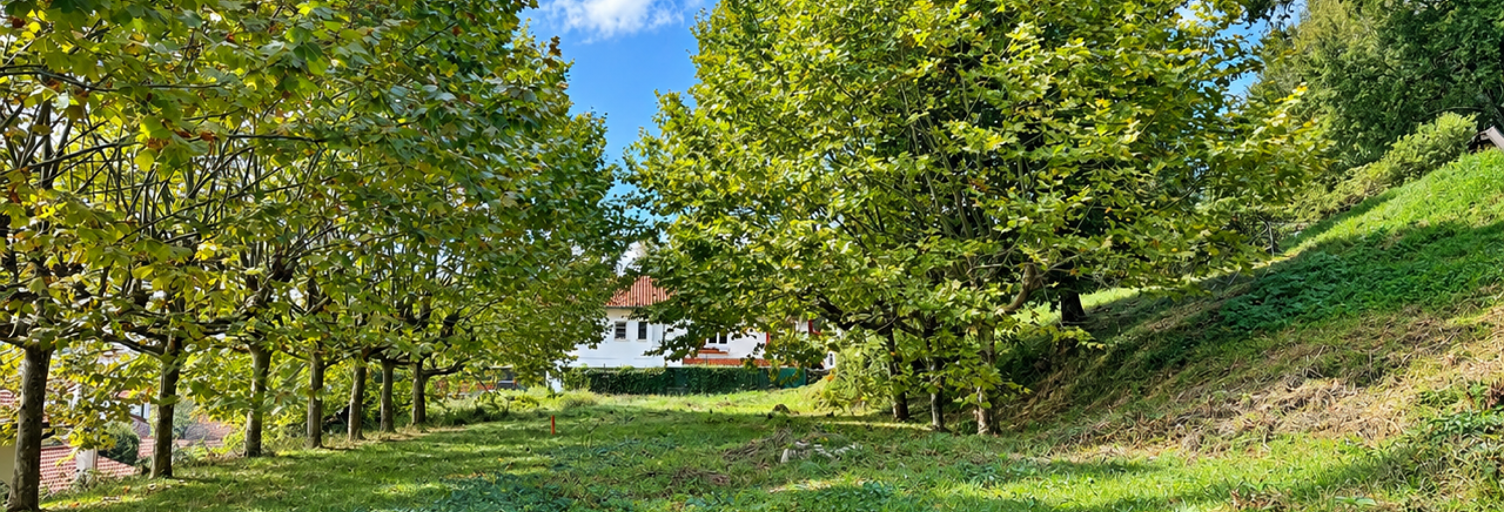 Terrain  492 m² à vendre à Urrugne (64700)