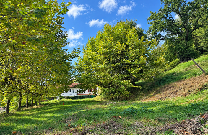 TERRAIN CONSTRUCTIBLE DE 492M2 QUARTIER URRUGNE-BEHOBIE — photo 2