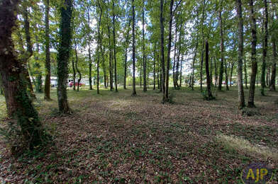 Terrain  53000 €