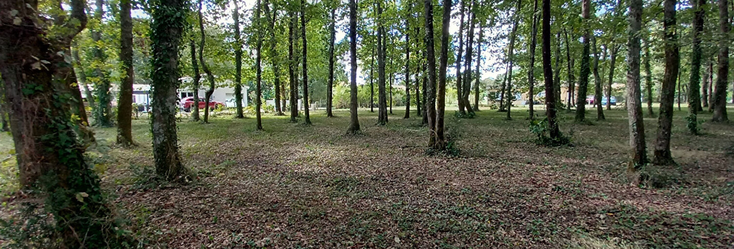 Terrain  993 m² à vendre à Gaillan-en-Médoc (33340)