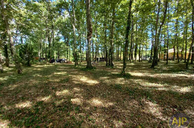 Terrain  56000 €