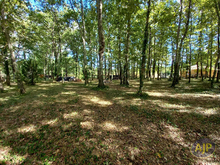 Terrain à bâtir de 933 m² à 5 min de Lesparre ! — photo 1
