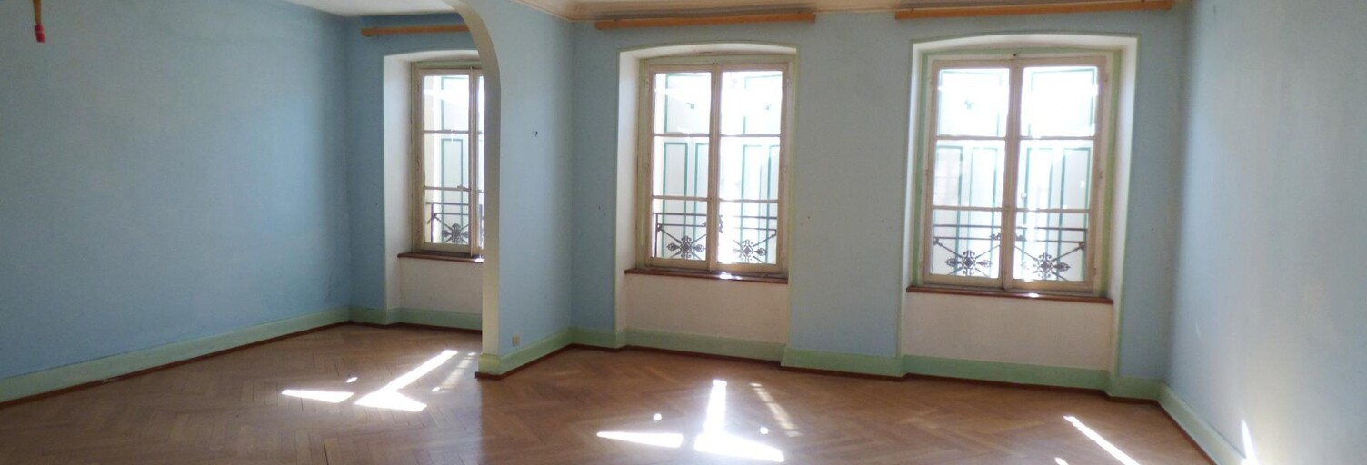 Immeuble  350 m² à vendre à Masevaux-Niederbruck (68290)