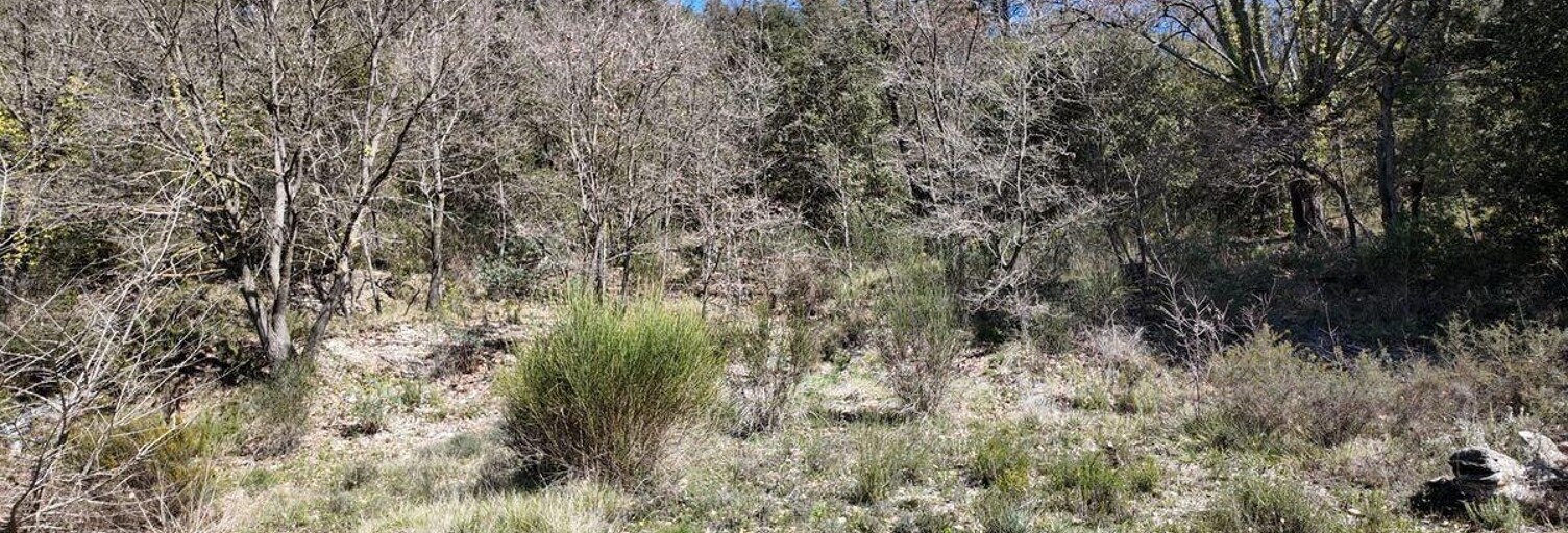 Terrain  1955 m² à vendre à Entrechaux (84340)