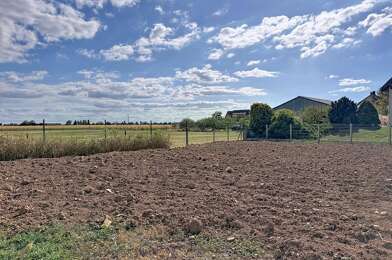 Terrain  97000 €