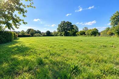 Terrain  49500 €