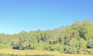 Terrain  69661 m² à vendre à Moulins-sur-Tardoire (16110)
