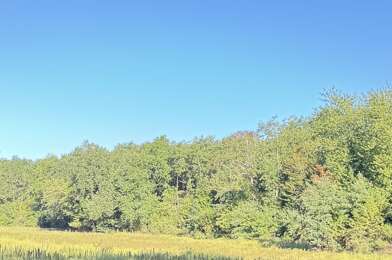 Terrain  32000 €
