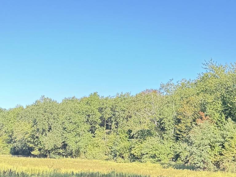 Vente Surface diverse 69 661 m&sup2; — photo 1