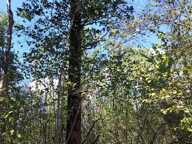 Vente Terrain 383 800 m&sup2; — photo 3