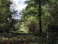 Vente Terrain 383 800 m&sup2; — photo 4