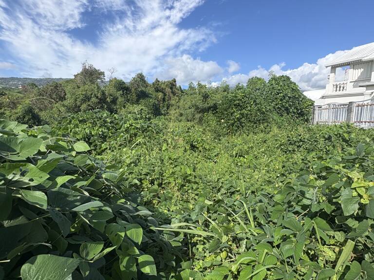 Vente Terrain à bâtir 1 353 m&sup2; — photo 1