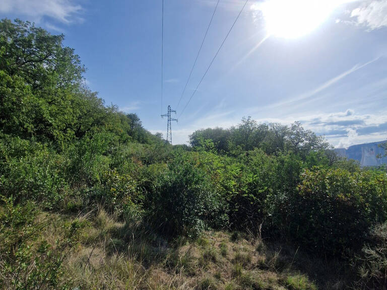 Parcelle de terrain en friche de nature bois d'une superficie d' — photo 1