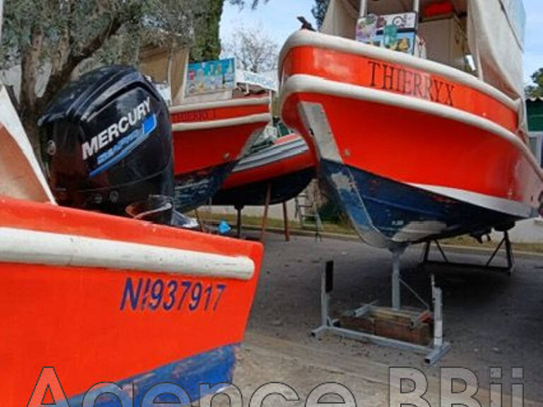 professionnel — photo 1