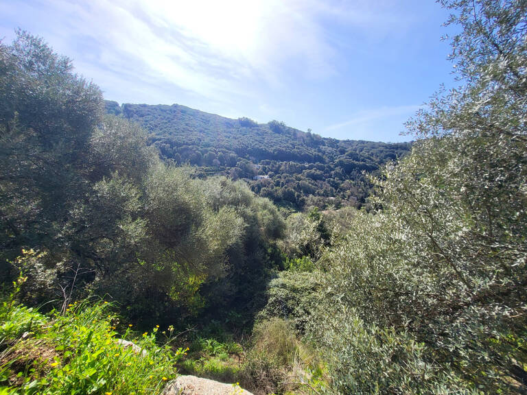 TERRAIN D'ENVIRON 15 000 M2 AVEC CASEDDU — photo 1