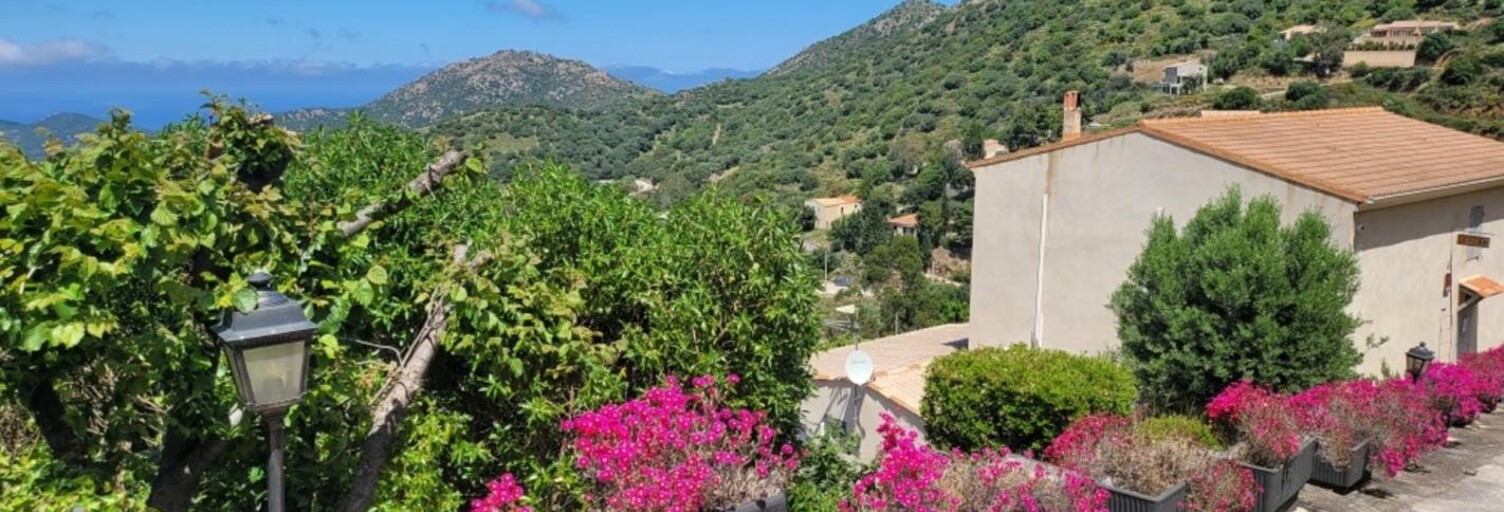 Maison 14 Pièces 337 m² à vendre à Belgodère (20226)
