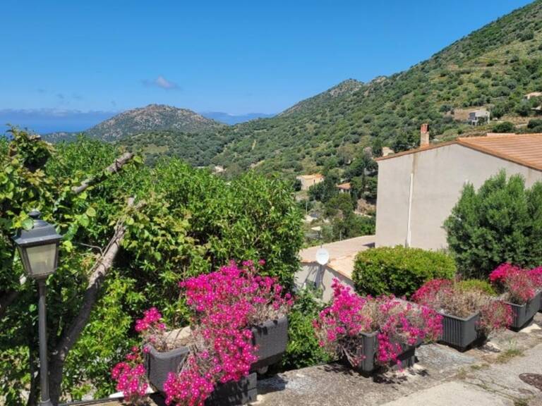 Affaire à saisir, Belgodère, Balagne. Hôtel 3 étoiles, vue panoramique — photo 1