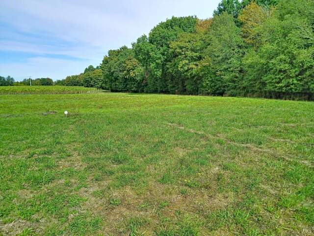 TERRAIN A BATIR DE 1 222 M² – CALME, NATURE ET PROXIMITÉ DE PONS 39000€ — photo du bien