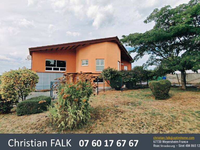 Ensemble immobilier professionnel avec hall de 600 m² et logement de service – Rottelsheim — photo 1