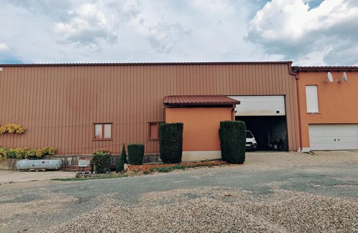 Ensemble immobilier professionnel avec hall de 600 m² et logement de service – Rottelsheim — photo 2