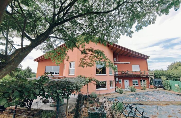 Ensemble immobilier professionnel avec hall de 600 m² et logement de service – Rottelsheim — photo 5