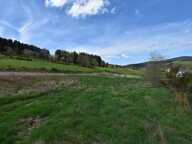 Terrain viabilisé à vendre de 911,00 m² DUNIERES (43), vue dégagée, belle situation — photo 4