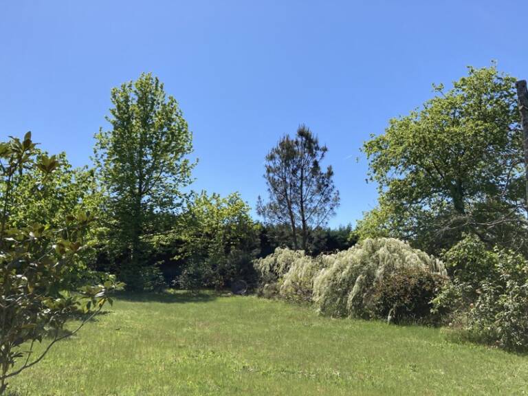 Terrain à bâtir à Léognan (33850) — photo 1