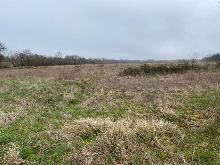 Terrain à bâtir à Pont-l'Abbé-d'Arnoult (17250) — photo 1