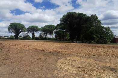 Terrain  65000 €