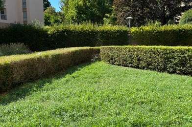 Appartement 2 pièces 215000 €