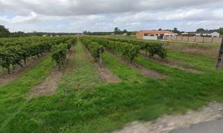 Terrain  1030 m² à vendre à Rouffiac (17800)